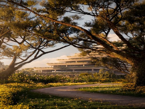 CASA TÉRREA-MINI TRILHA